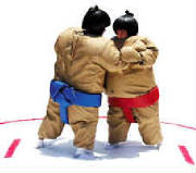 sumo.jpg